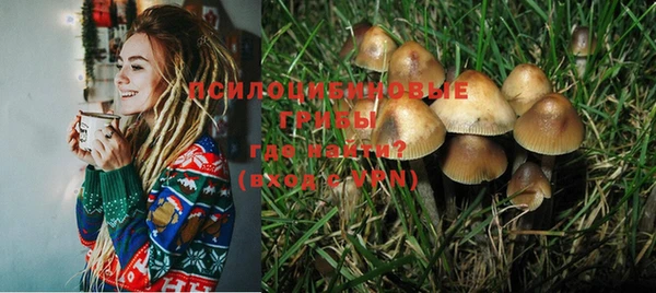 ГАЛЛЮЦИНОГЕННЫЕ ГРИБЫ Алзамай