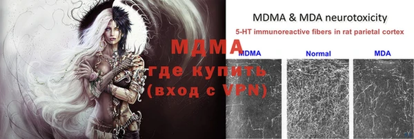 ГАЛЛЮЦИНОГЕННЫЕ ГРИБЫ Алзамай