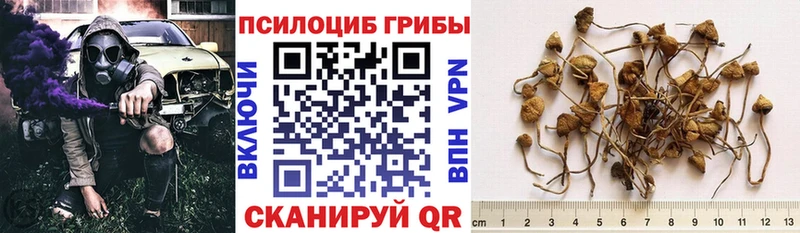 дарнет шоп  Жигулёвск  гидра tor  Псилоцибиновые грибы мухоморы 